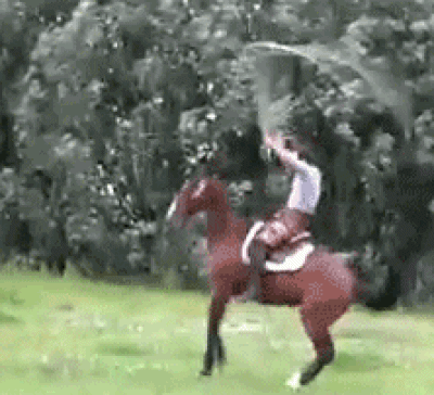 Трениране на кон?