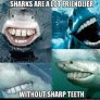Ако акулите имаха нормални зъби