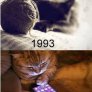 Котешката еволюция