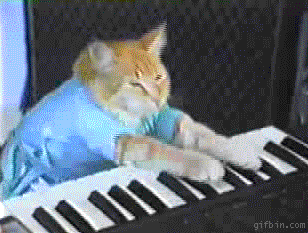 Котка пианист