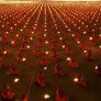 100 000 монаха по време на молитва