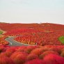 Есен в Япония