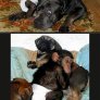 Куче осинови шимпанзе