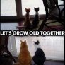 Да остареем заедно