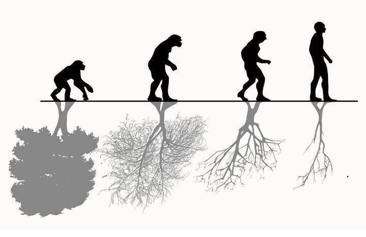 Еволюция или нещо друго