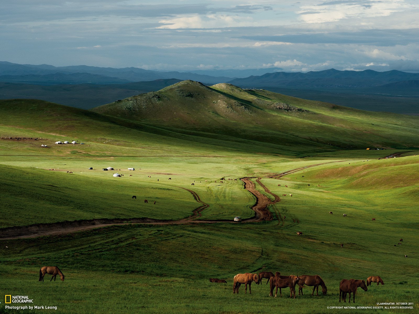 Зелени Монголски степи!