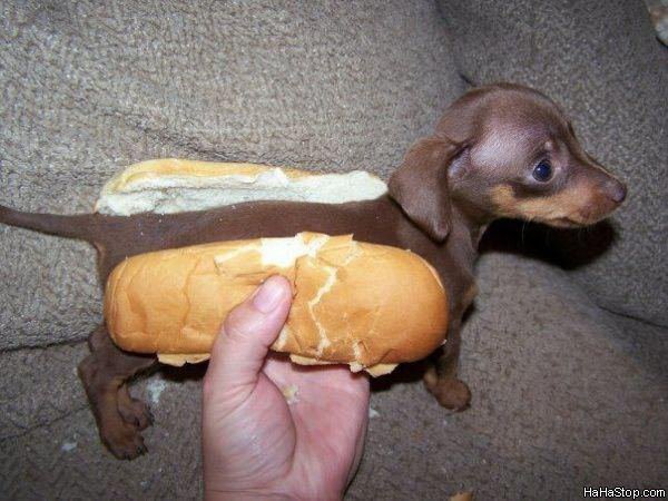 Ама в буквалния смисъл : Hot Dog