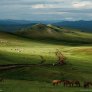 Зелени Монголски степи!