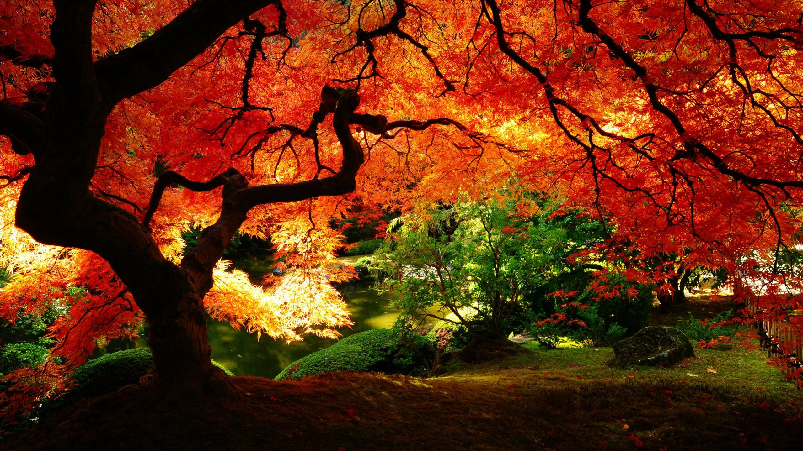 Красотата на Есента!