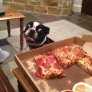 Искам пица!