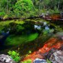 Реката на всички цветове в Камбоджа