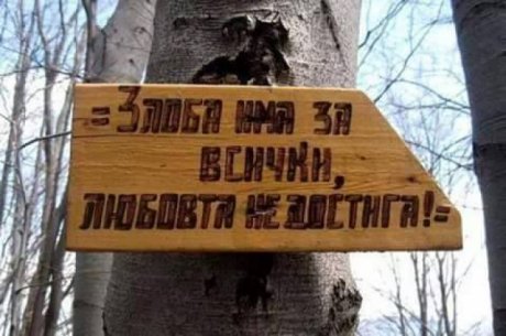 Мъдрости в гората